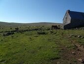 Le plateau du Ché